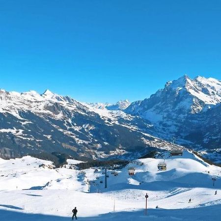 Ferienwohnung Chalet Aphrodite Ost Grindelwald Exterior foto