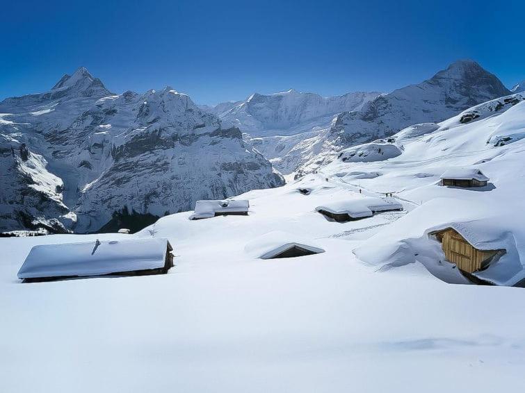 Ferienwohnung Chalet Aphrodite Ost Grindelwald Exterior foto